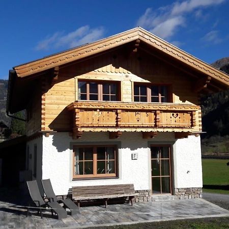 Willa Chalet Mit Sauna In Dorfgastein By Fewo-Plandog-100 Zewnętrze zdjęcie